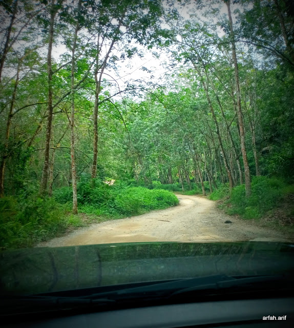 Viral Perempuan Asal Batang Tinggal Sendirian di Hutan Malaysia